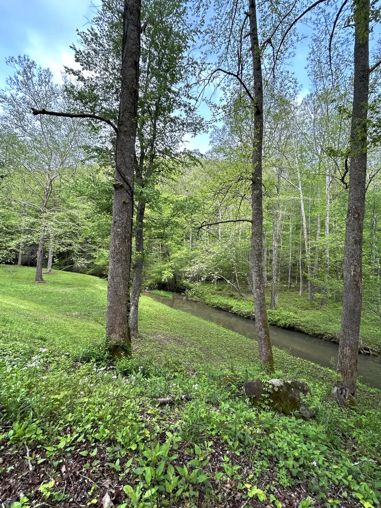 1180 Raccoon Creek Road Mckee KY 40447