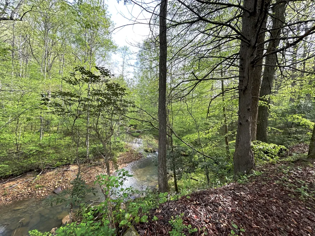 1180 Raccoon Creek Road Mckee KY 40447