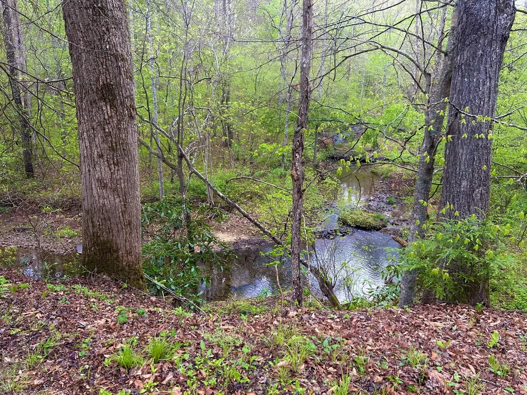 1180 Raccoon Creek Road Mckee KY 40447