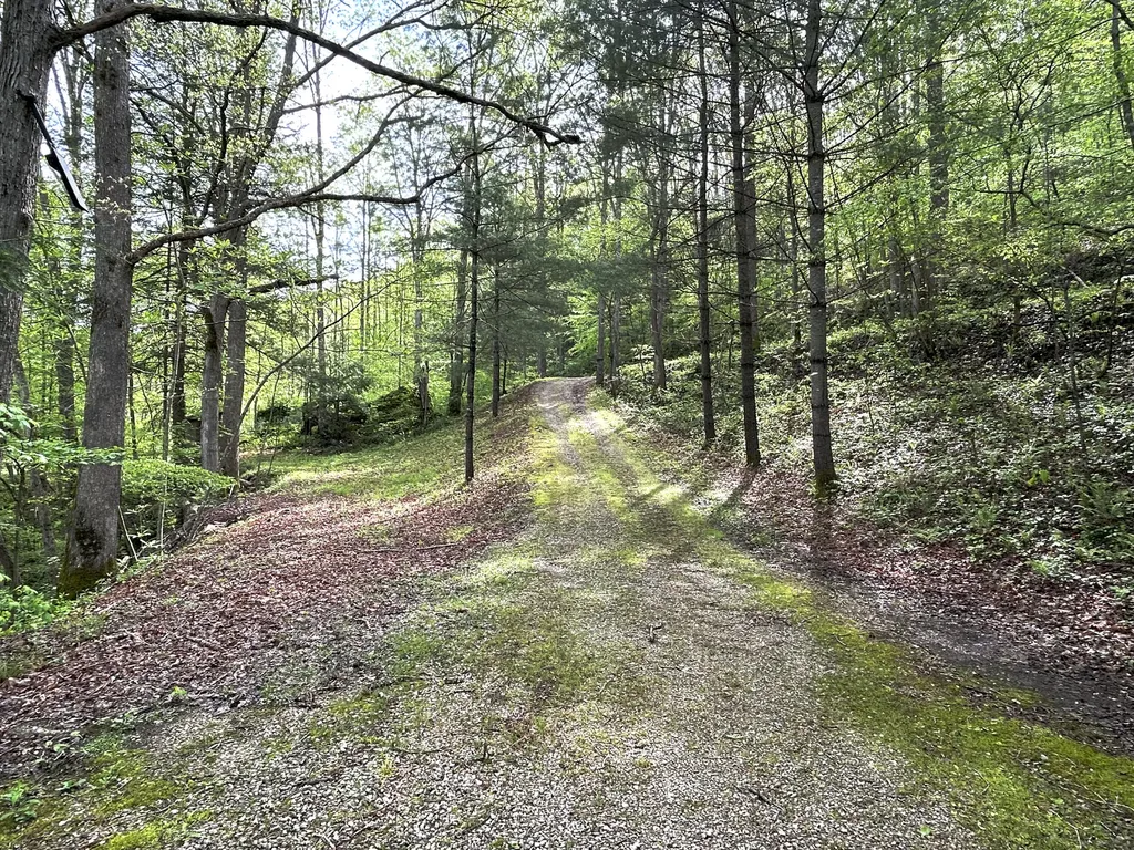 1180 Raccoon Creek Road Mckee KY 40447