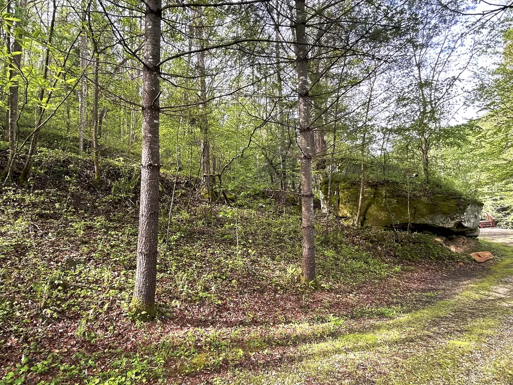 1180 Raccoon Creek Road Mckee KY 40447