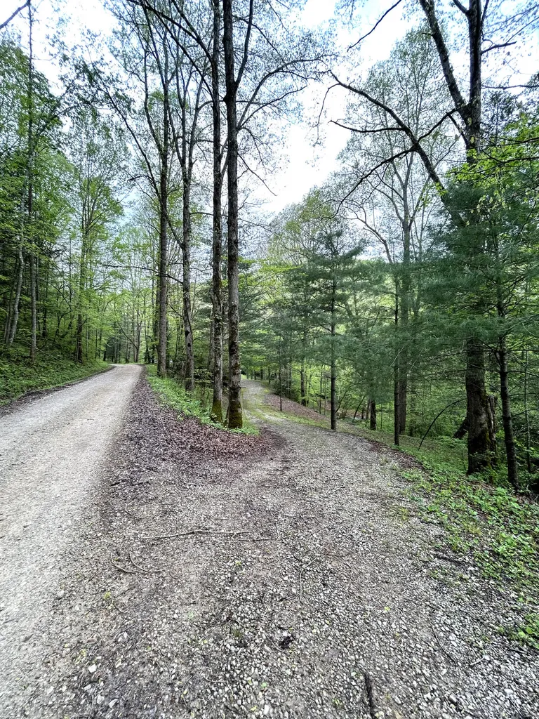 1180 Raccoon Creek Road Mckee KY 40447
