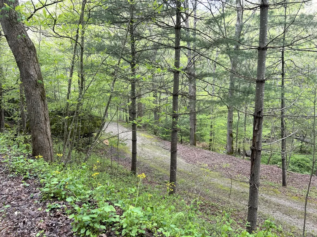 1180 Raccoon Creek Road Mckee KY 40447