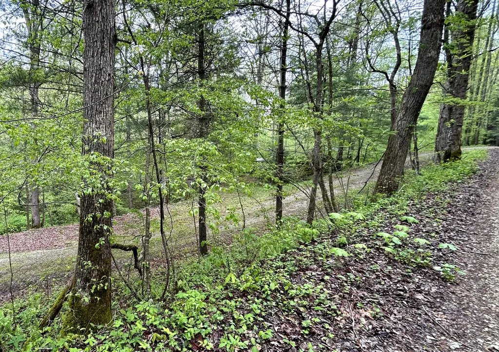 1180 Raccoon Creek Road Mckee KY 40447