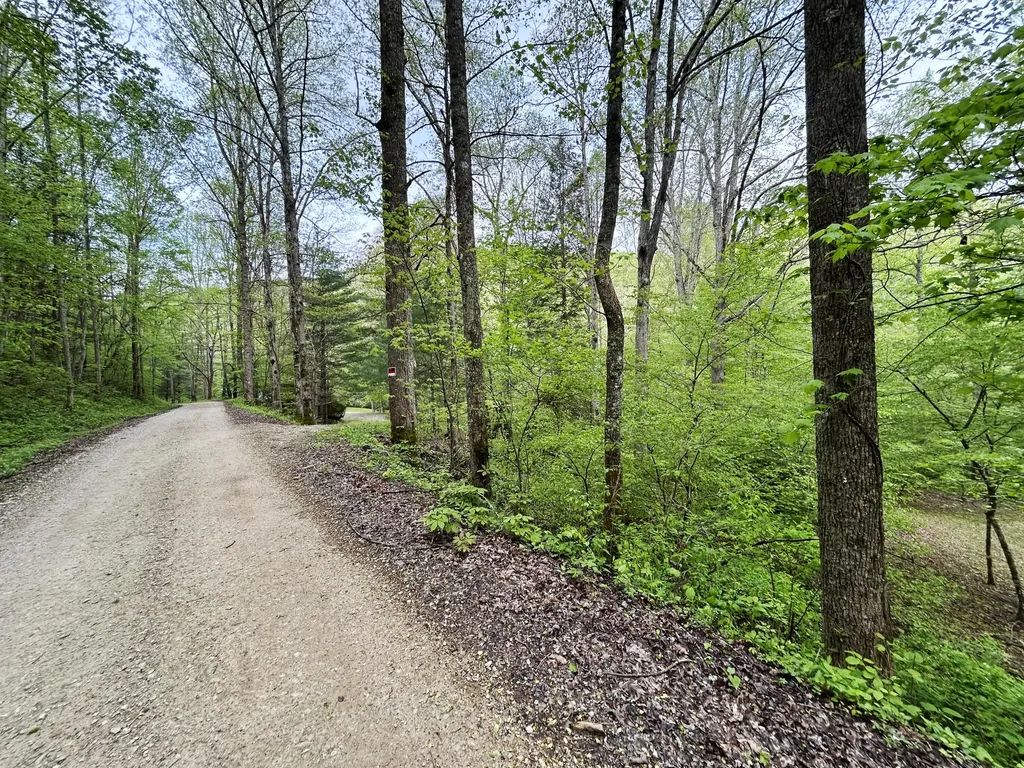 1180 Raccoon Creek Road Mckee KY 40447