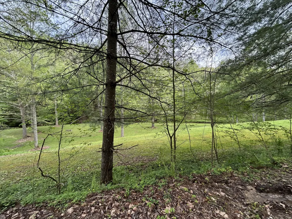 1180 Raccoon Creek Road Mckee KY 40447