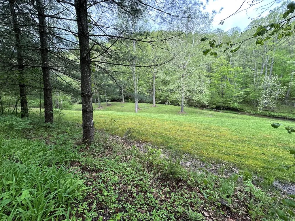 1180 Raccoon Creek Road Mckee KY 40447
