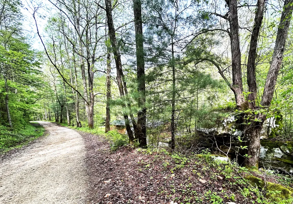 1180 Raccoon Creek Road Mckee KY 40447