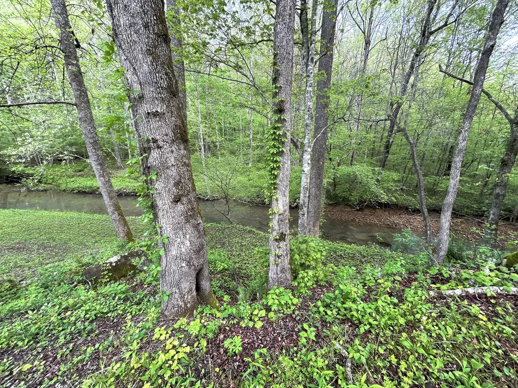 1180 Raccoon Creek Road Mckee KY 40447