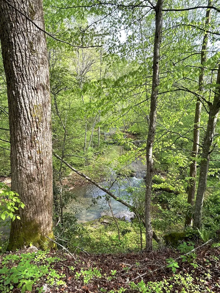 1180 Raccoon Creek Road Mckee KY 40447