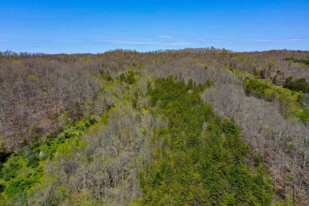 968 Taylor School Road London KY 40741