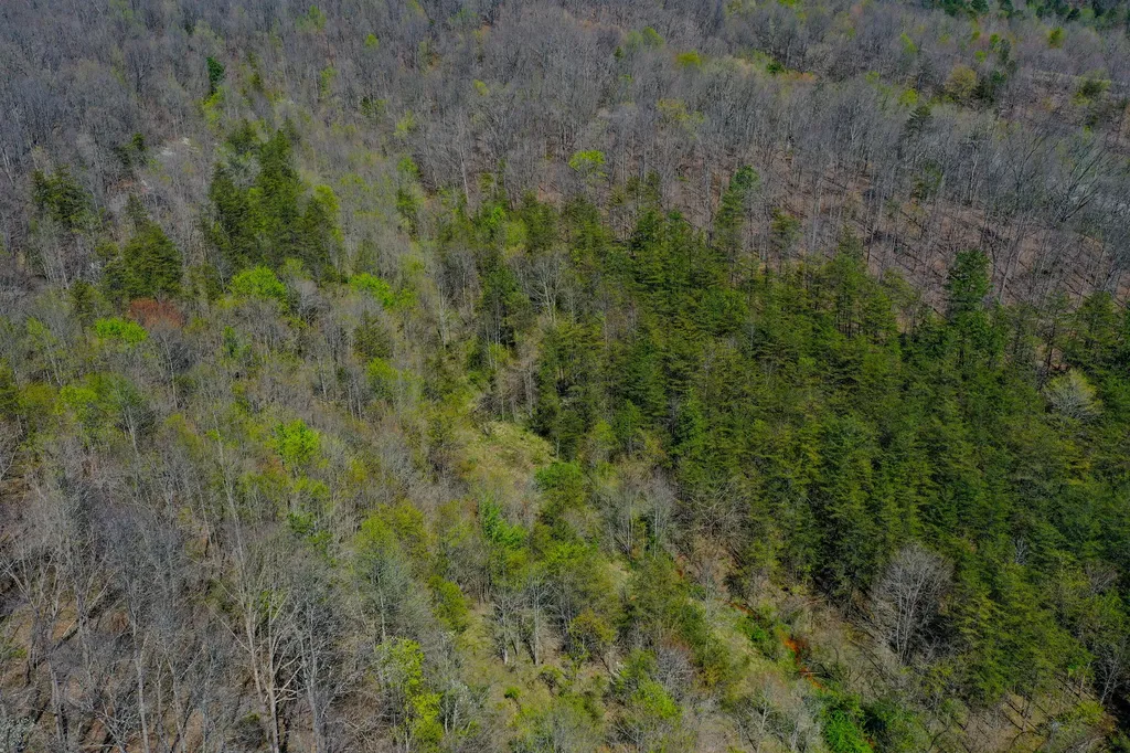 968 Taylor School Road London KY 40741