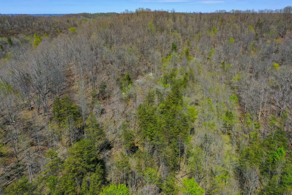 968 Taylor School Road London KY 40741