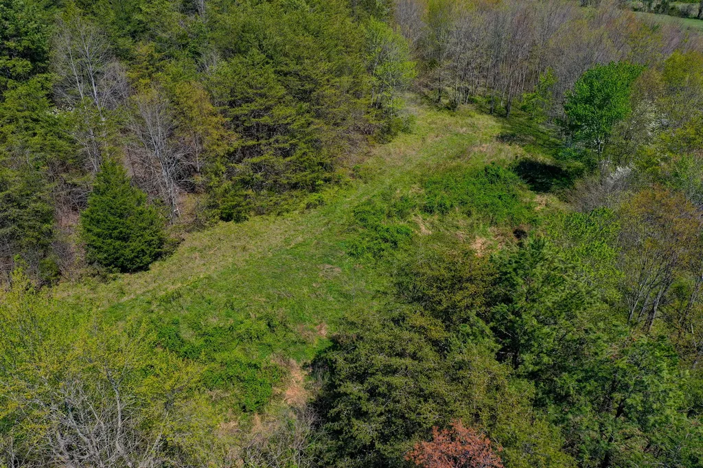 968 Taylor School Road London KY 40741