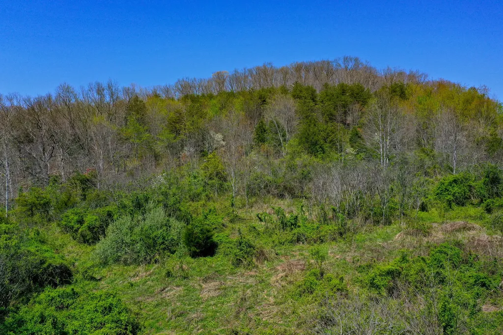 968 Taylor School Road London KY 40741