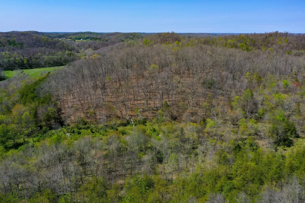 968 Taylor School Road London KY 40741