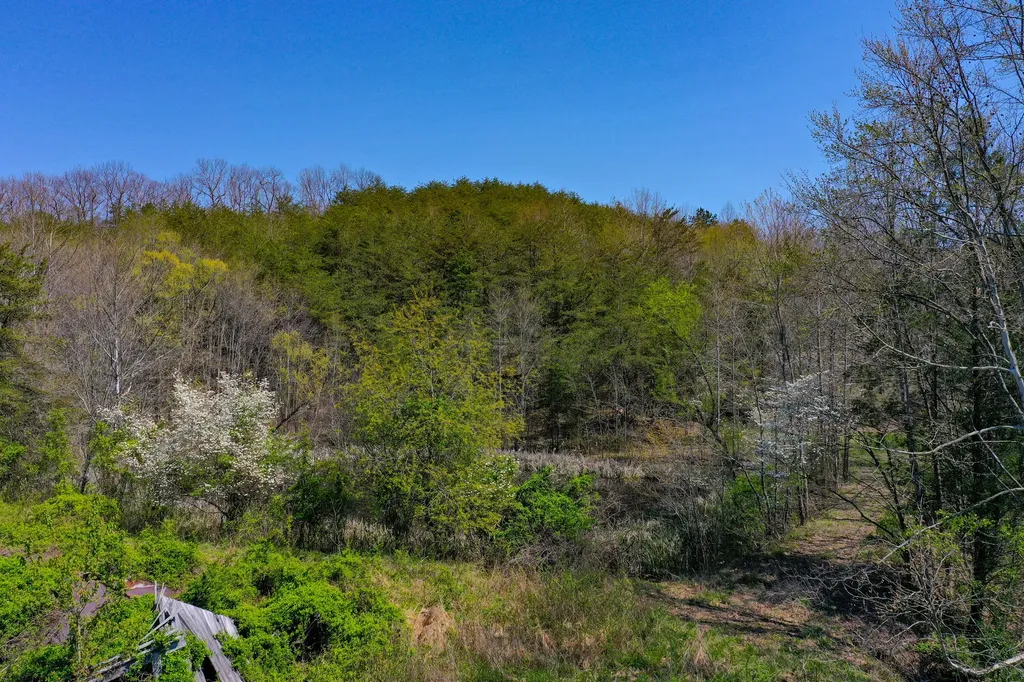 968 Taylor School Road London KY 40741