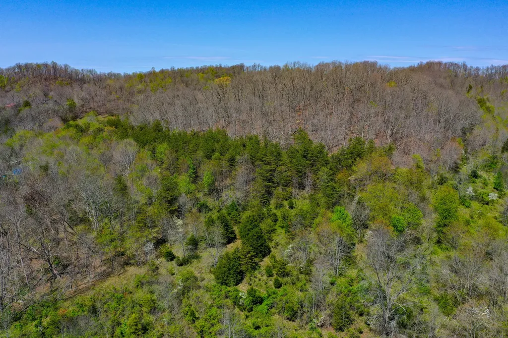 968 Taylor School Road London KY 40741
