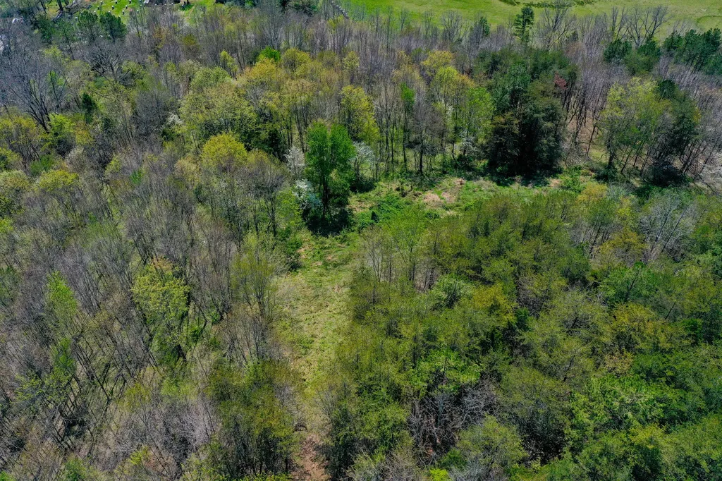 968 Taylor School Road London KY 40741