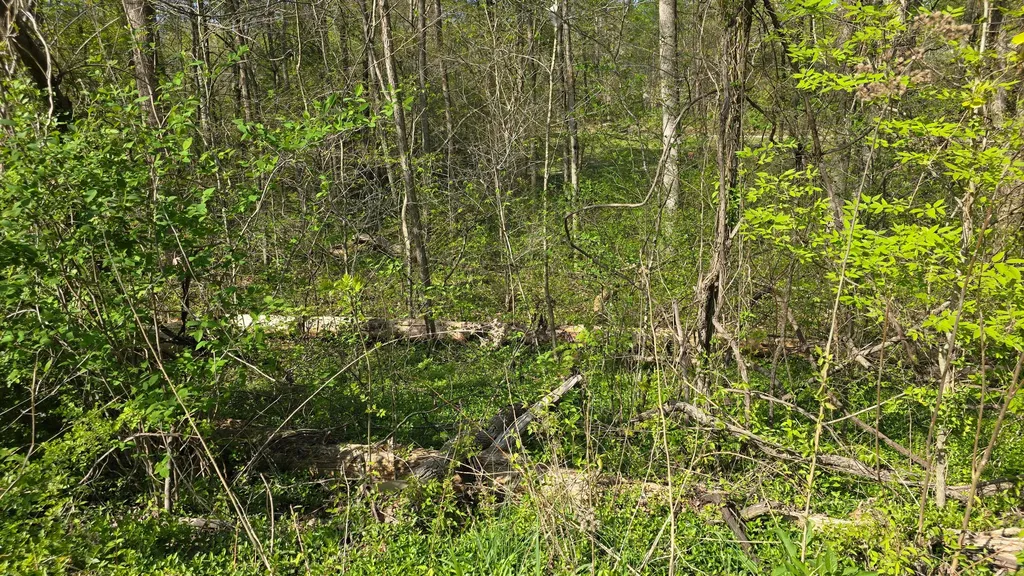 Lots 29, 30 Suncrest Drive Somerset KY 42501