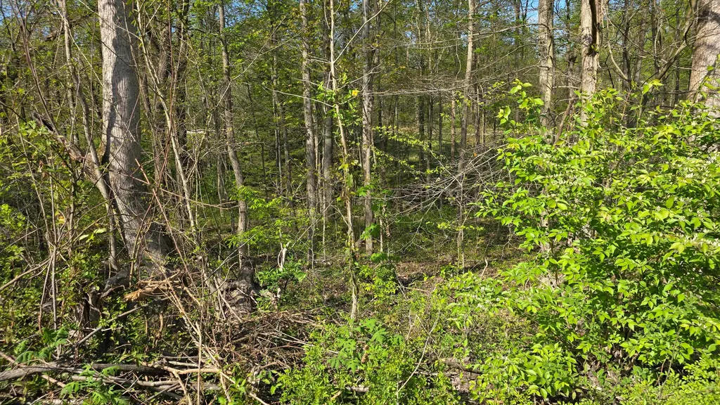Lots 29, 30 Suncrest Drive Somerset KY 42501