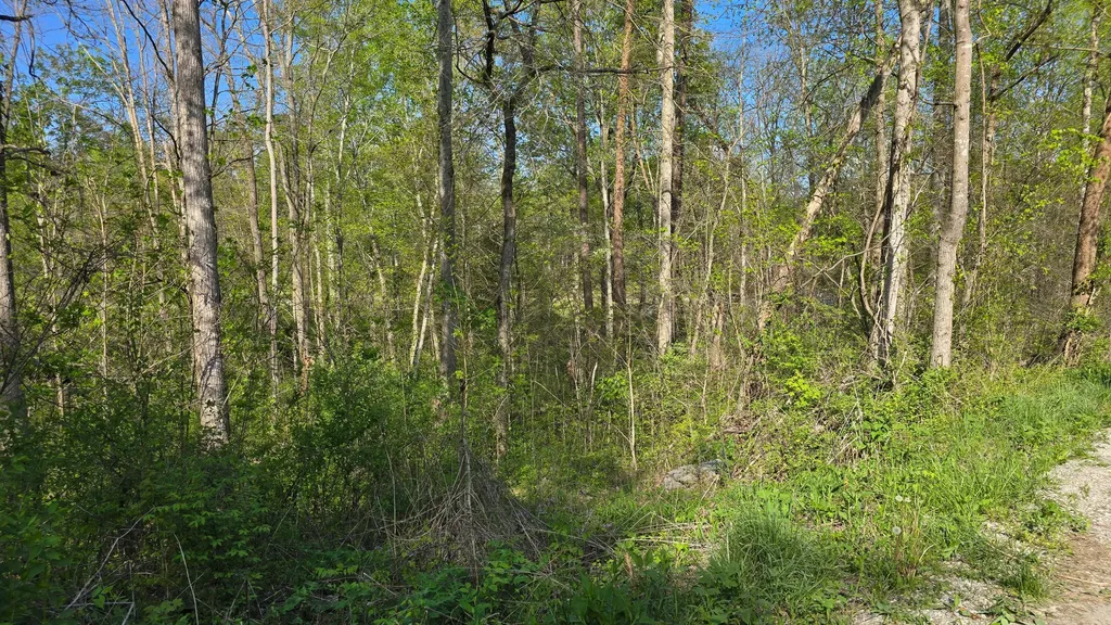 Lots 29, 30 Suncrest Drive Somerset KY 42501