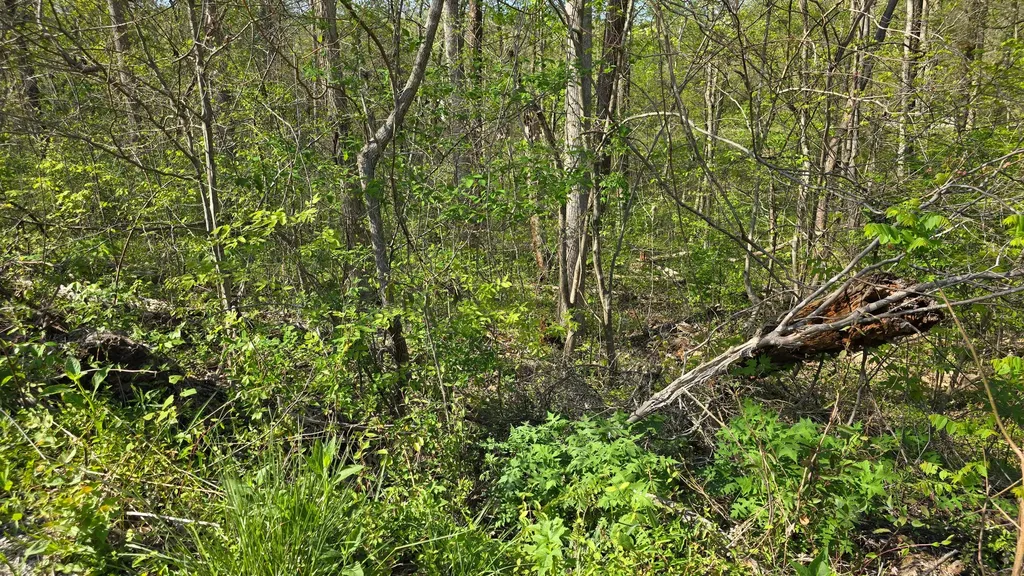 Lots 29, 30 Suncrest Drive Somerset KY 42501