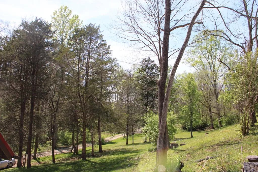 682 Garrad Road Tollesboro KY 41189