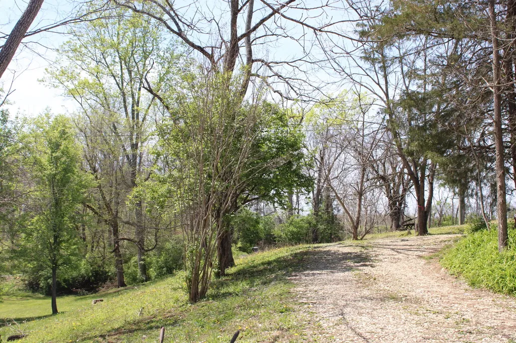 682 Garrad Road Tollesboro KY 41189
