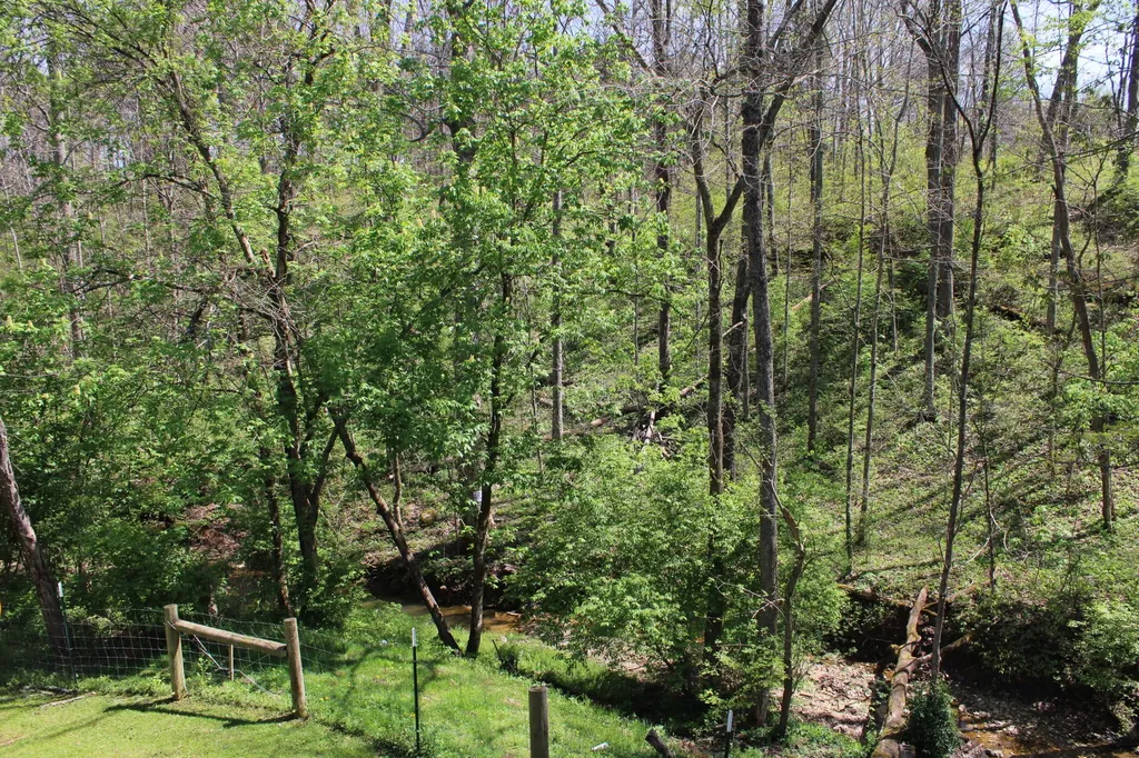 682 Garrad Road Tollesboro KY 41189