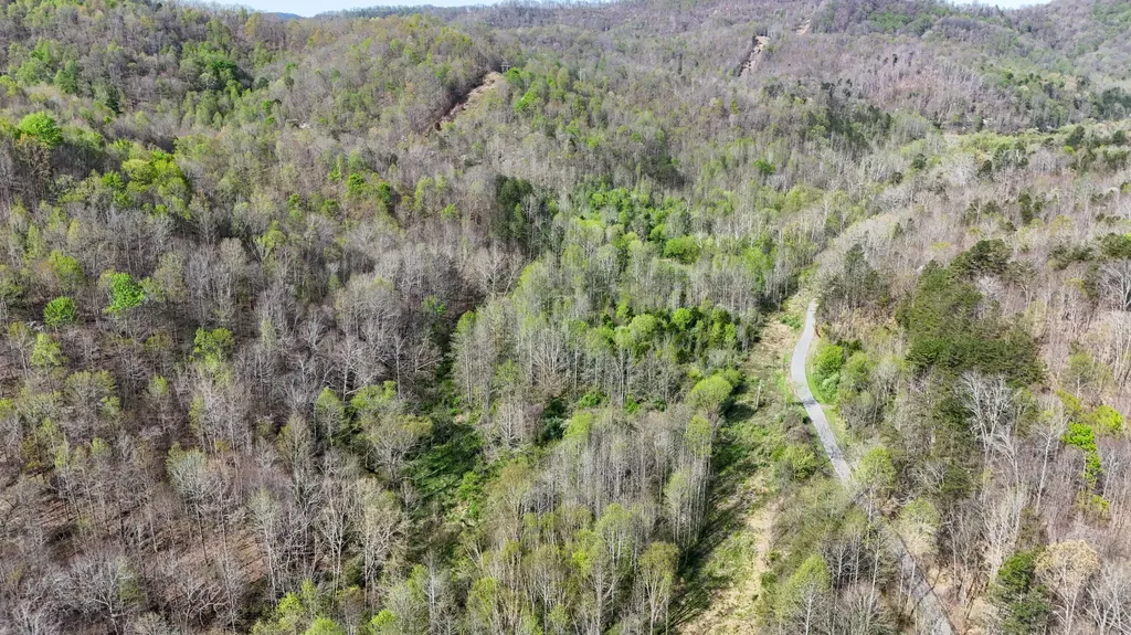 9999 Eastridge Branch Road Barbourville KY 40906