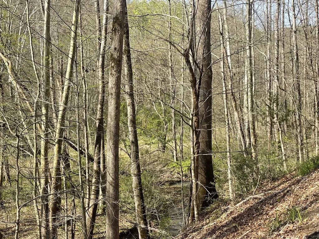 9999 Eastridge Branch Road Barbourville KY 40906