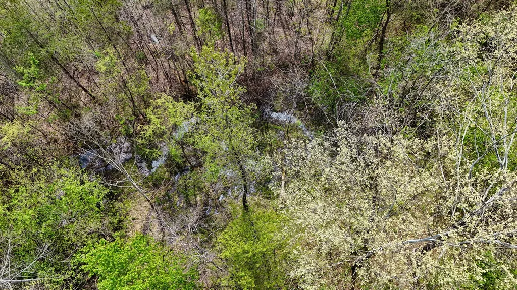 2578 Little Indian Creek Road Woodbine KY 40771