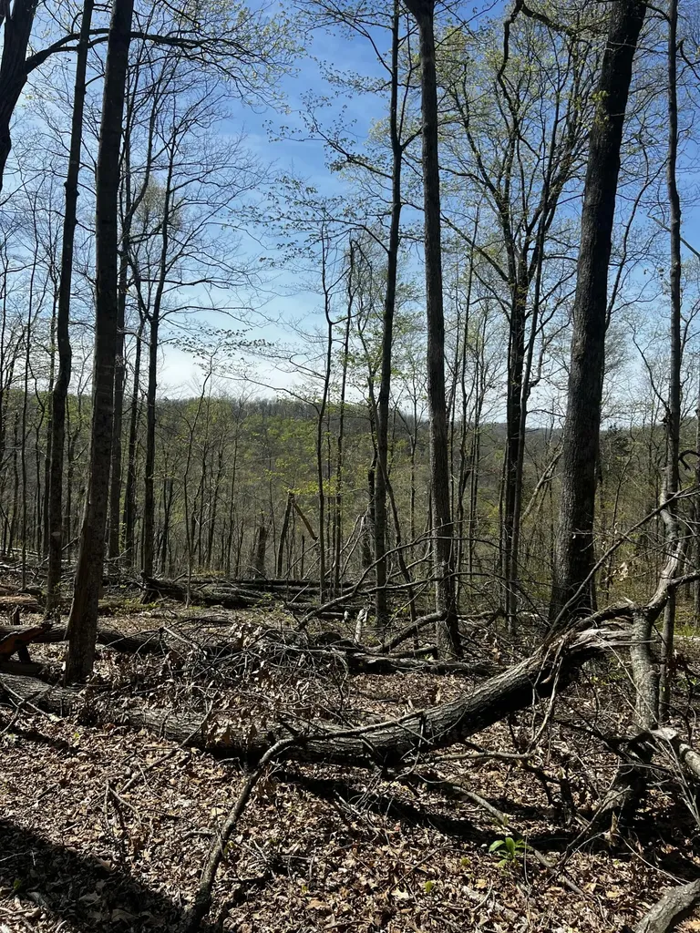 999 Chop Chestnut Road Stanton KY 40380