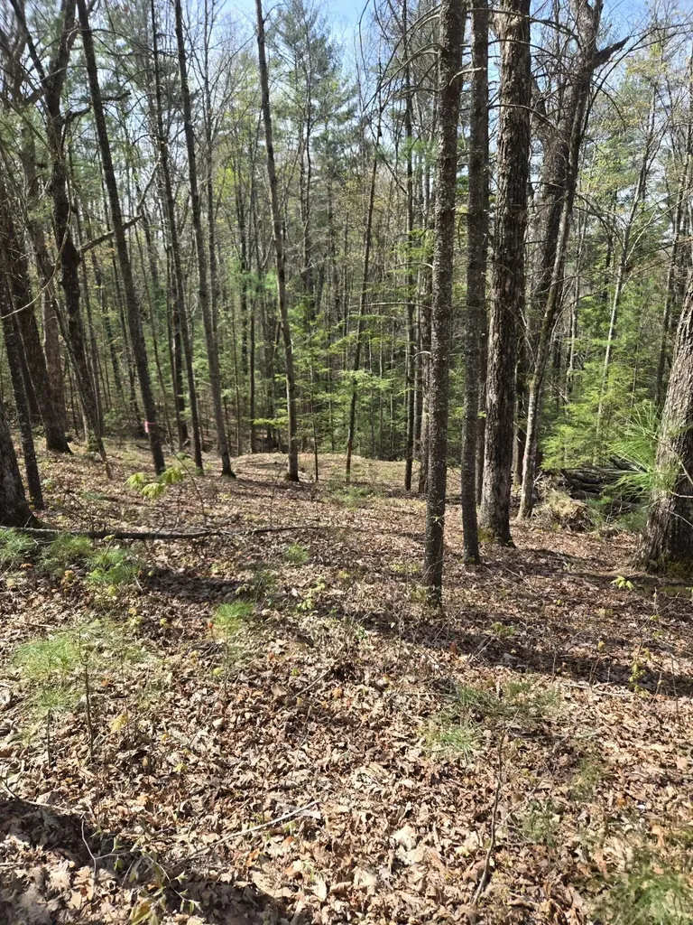 999 Victory Falls Campton KY 41301