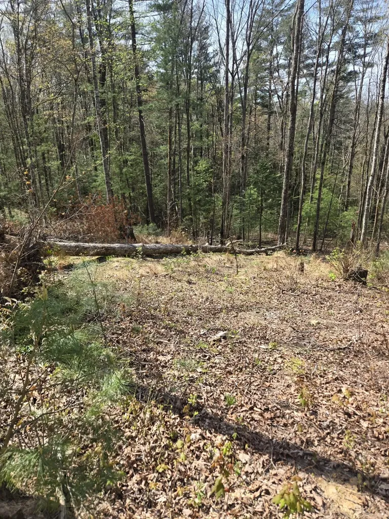 999 Victory Falls Campton KY 41301