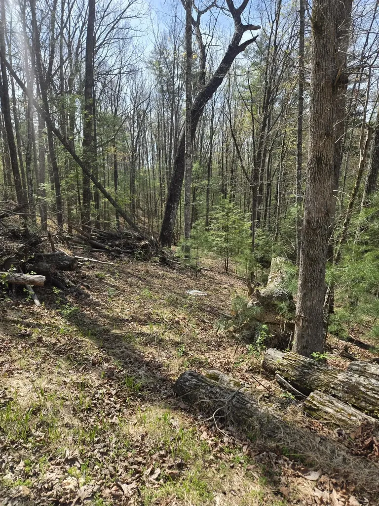 999 Victory Falls Campton KY 41301