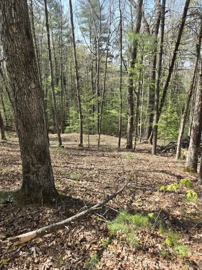 999 Victory Falls Campton KY 41301