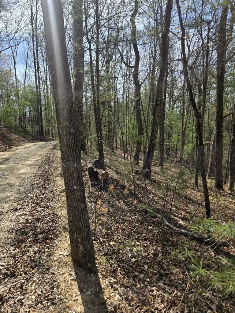 999 Victory Falls Campton KY 41301