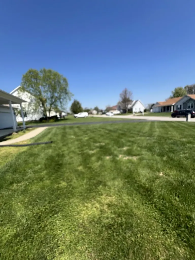 238 Shelton Way Mt Sterling KY 40353