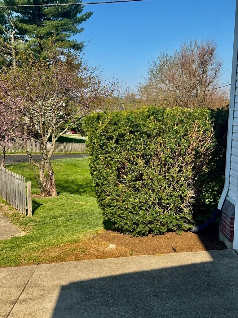 2469 English Station Drive Lexington KY 40514