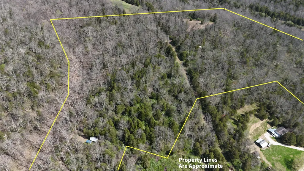 215 Big Twin Creek Road Worthville KY 41098