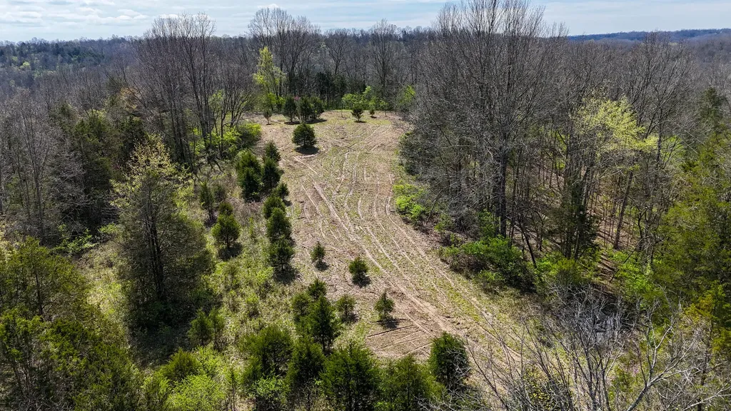 215 Big Twin Creek Road Worthville KY 41098