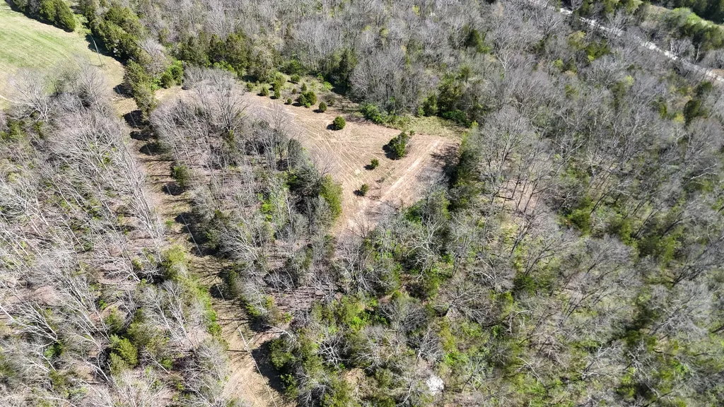 215 Big Twin Creek Road Worthville KY 41098
