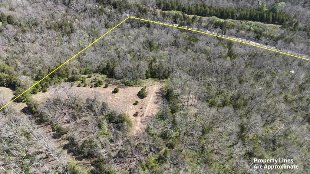 215 Big Twin Creek Road Worthville KY 41098