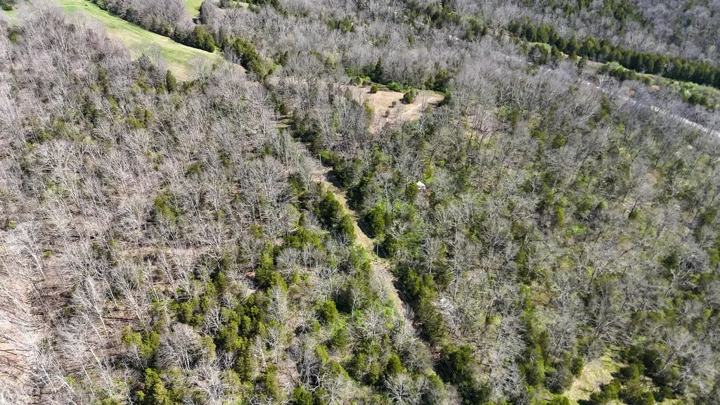 215 Big Twin Creek Road Worthville KY 41098
