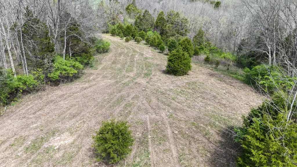 215 Big Twin Creek Road Worthville KY 41098