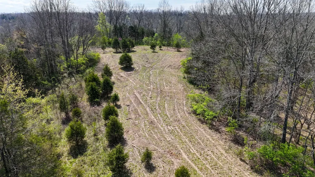 215 Big Twin Creek Road Worthville KY 41098