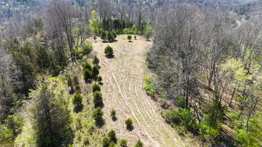 215 Big Twin Creek Road Worthville KY 41098