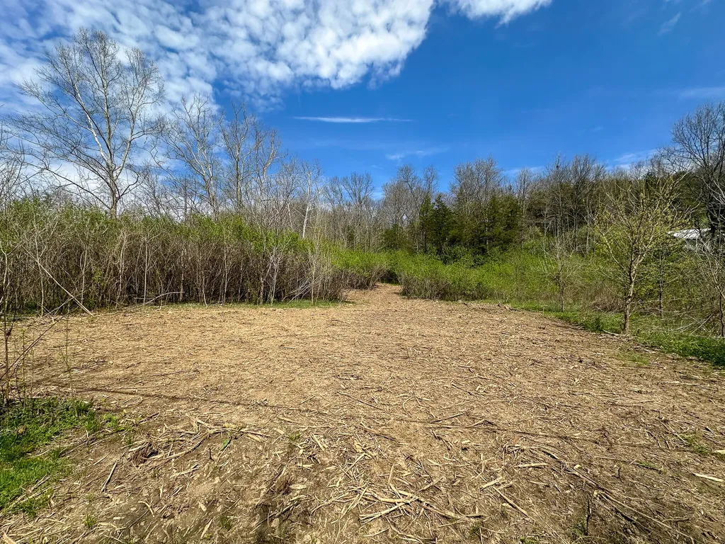 215 Big Twin Creek Road Worthville KY 41098